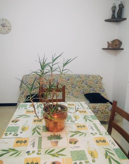Gîte et jardin en bord de rivière Saumane Buitenkant foto