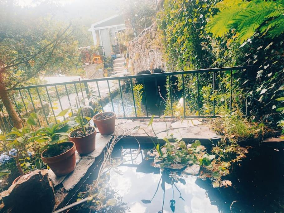 Gîte et jardin en bord de rivière Saumane Buitenkant foto